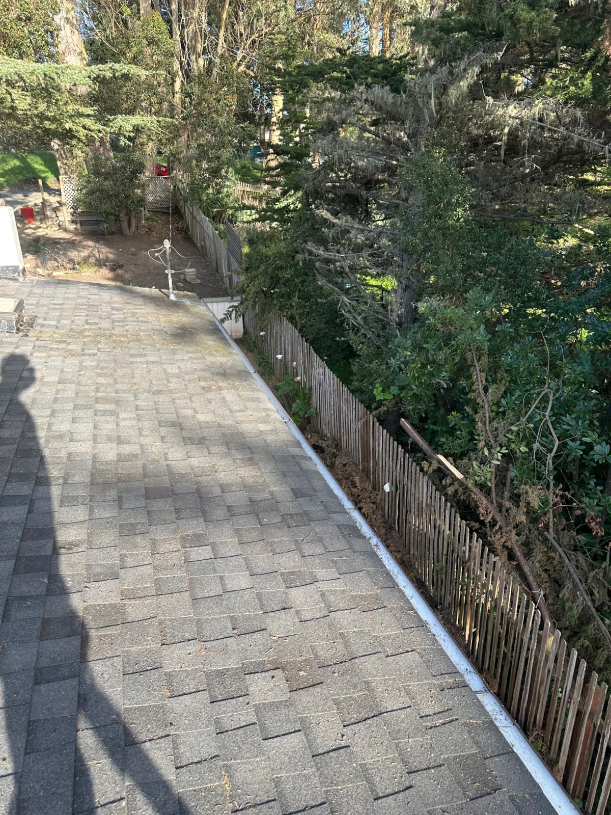 Residential roof surface after cleaning